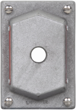 FlexStation DS Blank Cover, Single-Gang, Copper-Free Aluminum, 4.1 Inch Width, NEMA 3R