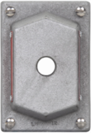FlexStation DS Blank Cover, Single-Gang, Copper-Free Aluminum, 4.1 Inch Width, NEMA 3R