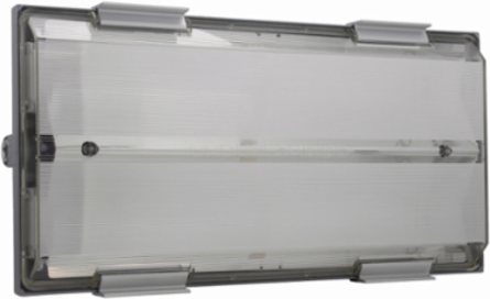 Long Twin Tube Fluorescent Fixture, 40W, 2-Lamp, 347 Vac, IP66