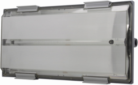 Long Twin Tube Fluorescent Fixture, 40W, 2-Lamp, 347 Vac, IP66