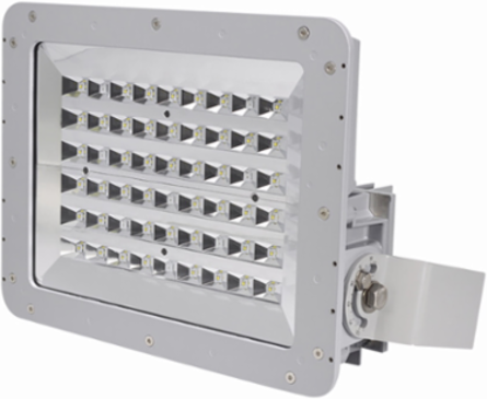 Bolt-On Wire Guard for FMV/PFM LED Floodlights, 26.5 Inch x 14.4 Inch x 6.8 Inch, 2.2 lb