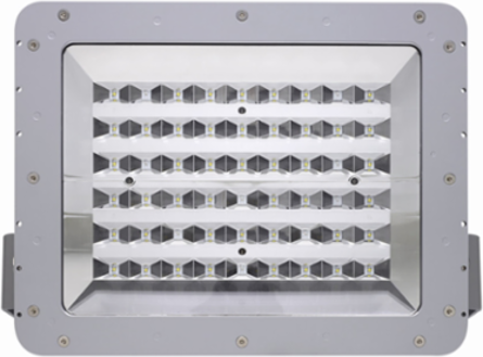 Bolt-On Wire Guard for FMV/PFM LED Floodlights, 26.5 Inch x 14.4 Inch x 6.8 Inch, 2.2 lb