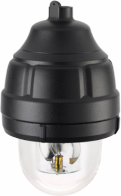 Rotating Light, Explosion-Proof, UL and cUL CID1, 24VDC, Clear, Mount Sold Separately