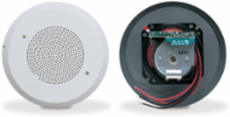 SelecTone Amplified Speaker, UL and cUL, 120VAC, Ceiling Mount