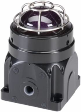 Global Series LED Light, Hazardous Location, UL and cUL CID2, Zone Listed, 120-240VAC, Ex d Surface Mount, Magenta