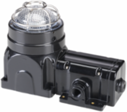 Global Series LED Light, Hazardous Location, UL and cUL CID2, Zone Listed, 24VDC, Ex de Surface Mount, Clear