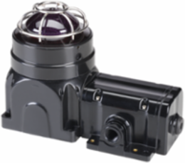 Global Series LED Light, Hazardous Location, UL and cUL CID2, Zone Listed, 24VDC, Ex de Surface Mount, Magenta