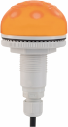 AV Combo, 22mm, 12-24VAC/DC, M12 Cable, Amber