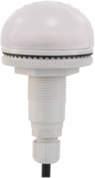 AV Combo, 22mm, 12-24VAC/DC, M12 Cable, Clear