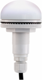 LED, 22mm, 12-24VAC/DC, M12 Cable, Clear
