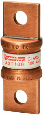 Class T Fast-Acting Fuse 100A 300V, Small Size, Blade Connection