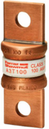 Class T Fast-Acting Fuse 100A 300V, Small Size, Blade Connection
