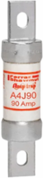 Fuse 90A Fast-Acting Class J 600V, 1.06 Inch Diameter, Silver-Plated Copper Terminals