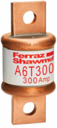 Fast-Acting Class T Fuse 600V 300A, 3.62 Inch Length, 0.5 lb