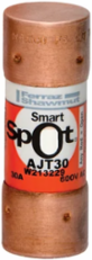 Fuse Amp-Trap 2000® Class J Time-Delay 600V 30A with SmartSpot Indicator