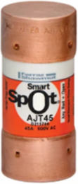 Amp-Trap 2000® 600V 45A Time-Delay Class J Fuse with SmartSpot Indicator
