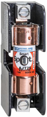 Fuse Amp-Trap 2000 Class J 600V 6A Time-Delay, 2.25 Inch Length