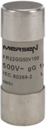 Cylindrical Fuse-Link gG 500V 100A 22x58, Ceramic Body, Silver-Plated Contacts