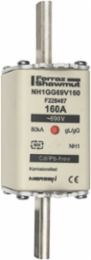 NH Fuse-Link gG 690VAC Size 1 160A Double Indicator with Ceramic Body