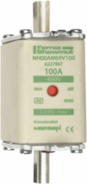 NH Fuse-Link aM, 690V, Size 00, 100A, Double Indicator