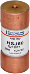 Fuse Amp-Trap® 600V 60A Class J High-Speed Fuse, 200 kA Breaking Capacity