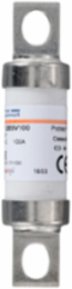 Protistor® 17x49 High-Speed Fuse 100 A 690V Class gR