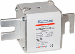 Protistor 73 Amp 900V Type DIN110 Ultra-Fast Fuse-Link, Silver-Plated Copper