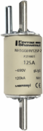 NH Fuse-Link gG, 690VAC, Size 1, 125A, 80kA Breaking Capacity