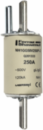 NH Fuse-Link gG 500VAC Size 1 250A with Striker, 120 kA Breaking Capacity