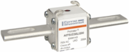 Protistor Fuse-Link 30 Amp 690V IEC-700V UL Long Slotted Blade