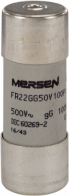 Cylindrical Fuse-Link gG 500VAC 22x58, 100A, Ceramic Body, 120 kA Breaking Capacity