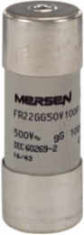 Cylindrical Fuse-Link gG 500VAC 22x58, 100A, Ceramic Body, 120 kA Breaking Capacity