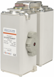 Protistor 2x122 Semiconductor Protection Fuse, 900 A, 750 VDC, gR
