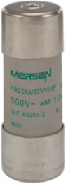 Cylindrical Fuse-Link aM 500VAC 22x58, 100A, Ceramic Body, Silver-Plated Contacts