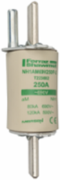 NH Fuse-Link aM 690VAC, Size 1, 250A, Lead Free, Clip Mount