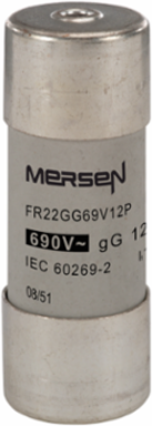 22x58 mm gG Cylindrical Fuse-Link, 12A, 690V AC, Ceramic Body, Silver-Plated Contacts