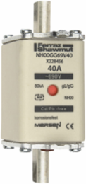 NH Fuse-Link gG 40A, 690VAC, Size 00, Double Indicator, Ceramic Body