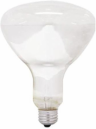Incandescent Heat Lamp