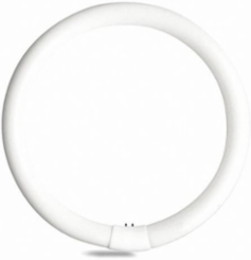 T9 Circline Lamps