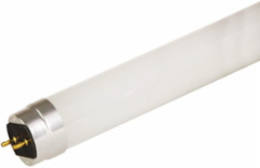 LED Type A T8 Glass Tube