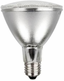 Ceramic Metal Halide PAR Lamps