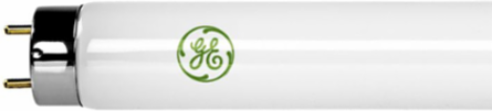 2' T8 Ecolux Lamps
