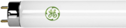 4' T8 Ecolux® Lamps