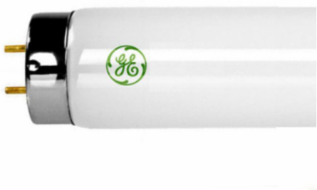 4' T12 Rapid Start Lamps