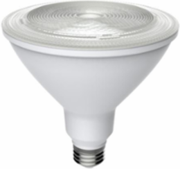 LED PAR38 Replacement Lamps