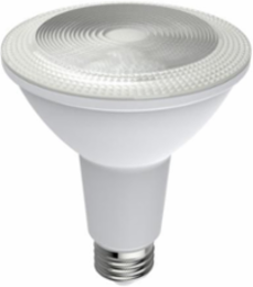 LED PAR30 Replacement Lamps