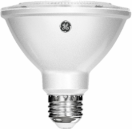 LED PAR30 Replacement Lamps