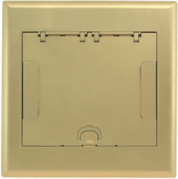 10-Gang Recessed Access Floor Box Cover, Brass Powder Coat Finish