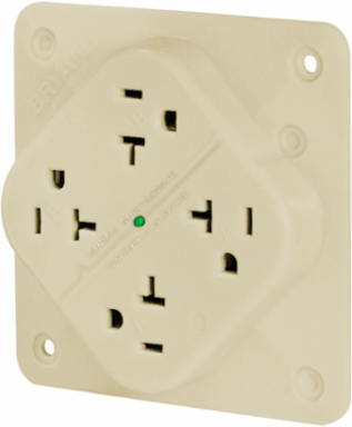 Quadplex Receptacle, 20A 125V, Isolated Ground, Surge Suppression, Ivory