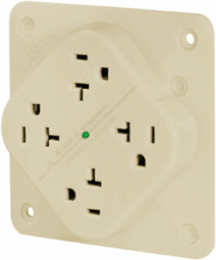 Quadplex Receptacle, 20A 125V, Isolated Ground, Surge Suppression, Ivory